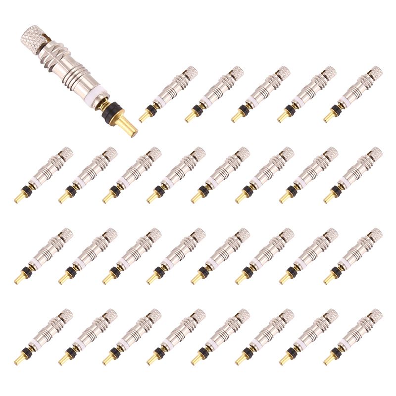 NEW HOT In Stock-30 Pcs Presta - Tubeless Valve Core recension och pris